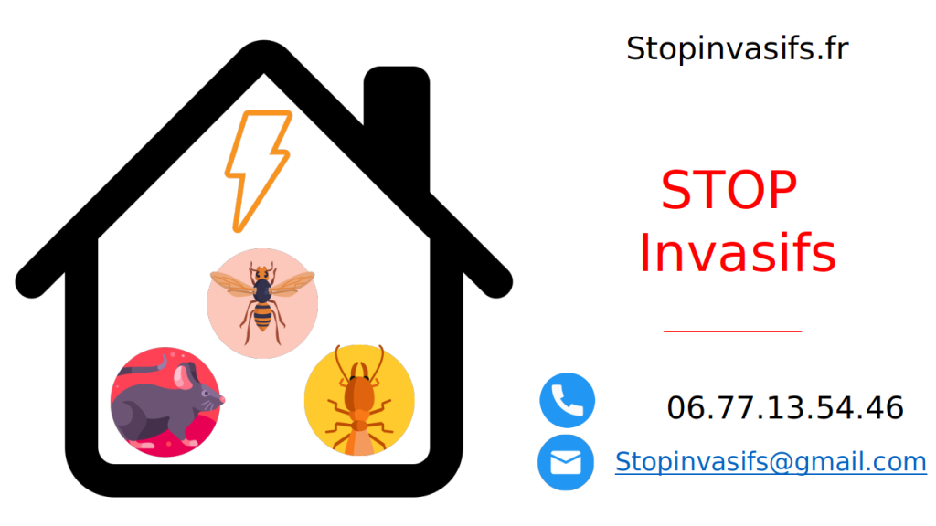 Stop invasifs vous offre des solutions durables et respectueuses de l’environnement pour éliminer les infestations de rongeurs, insectes et autres nuisibles.
